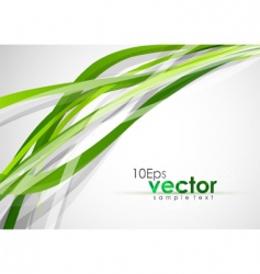 Floral elements background vector image