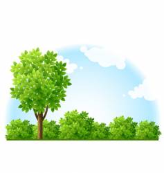 Summer garden vector image