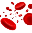 Flowing Red Blood Cell vector image