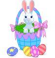 Basket bunny vector image