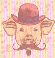 Hat Pig Mustache vector image