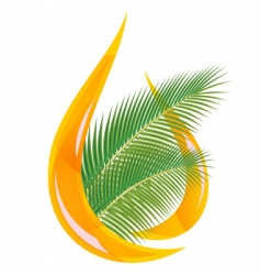 Palm oil vector image