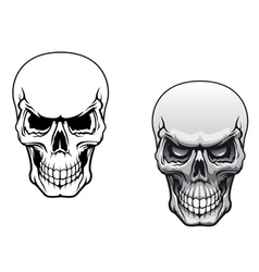 Human skulls vector image