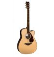 Acoustic guitar vector image