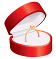 Ring in a red box vector image