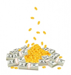 Currency icon vector image
