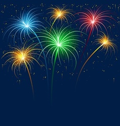 Fireworks vector image