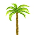 Tropical coconut palm tree vector image