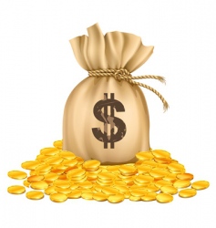 Coins vector image
