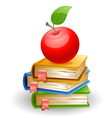 School books vector image
