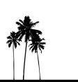 Palm tree silhouette vector image