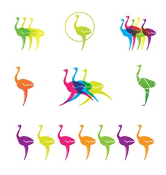 Ostrich logos vector image