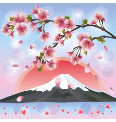 Japanese landscape with mountain and sakura vector image