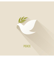 Peace dove with olive branch vector image