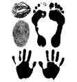 Human hands feet lips vector image