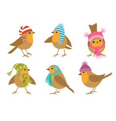 Winter Robins vector image