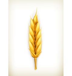Wheat icon vector image