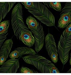Seamless texture with peacock feathers vector image