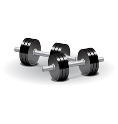 Dumbbells vector image