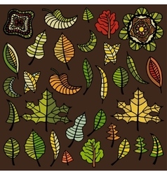 Set of autumn leaves vector image