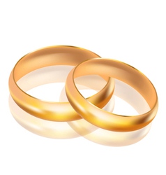 Big and small gold rings vector image