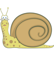 Snail home vector image