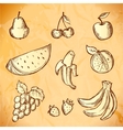 Vintage sketched fruits icon set vector image