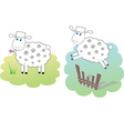 Two white sheeps vector image