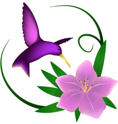 Hummingbird and lily vector image