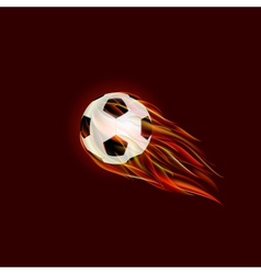 Flying Soccer Ball with Flame vector image
