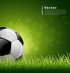Soccer ball on grass background vector image