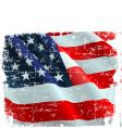 Usa flag vector image