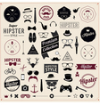 Set of Vintage styled design Hipster icons vector image