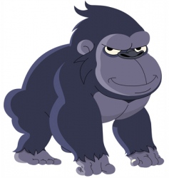 Gorilla vector image