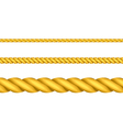 Ropes vector image