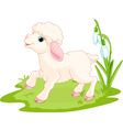 Easter lamb vector image