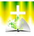 Open bible and Christ illustration vector image