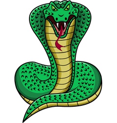 King cobra vector image