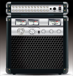 Guitar Combo vector image