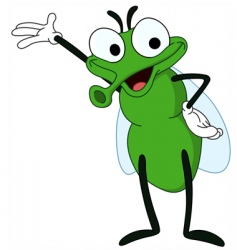 Fly vector image