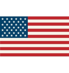 American Flag vector image