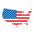 Us map flag vector image
