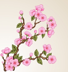 Background with sakura vector image
