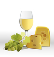 Whte wine vector image