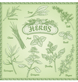 Outline Herbs Set vector image