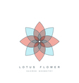 Lotus flower sacred geometry vector image