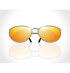 Sunglasses vector image