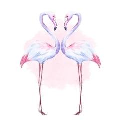Nice watercolor flamingo vector image