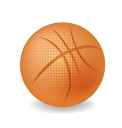 Basketball vector image