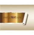 Ripped paper vector image